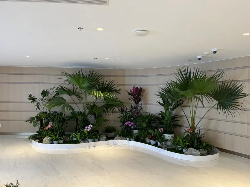 慈溪花卉租摆选哪家？全方位对比，给你答案亡